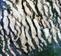 차드 LAC(아리랑 3호) [이미지]